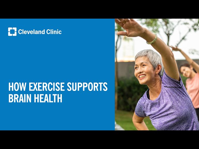 How Exercise Supports Brain Health