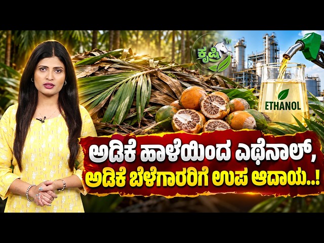 ಅಡಿಕೆ ಹಾಳೆ ಕಸವಲ್ಲ, ಆದಾಯದ ರಸ! | Ethanol From Arecanut Sheath| Arecanut Business | Ashwa Krushi