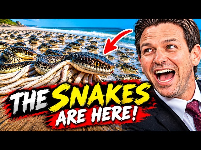 More Snakes... Then Something Unexpected Happened !!