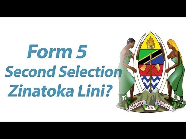 FORM FIVE SELECTIONS 2026 ZINAATOKA LINI?| FORM FIVE SELECTIONS 2025/2026 