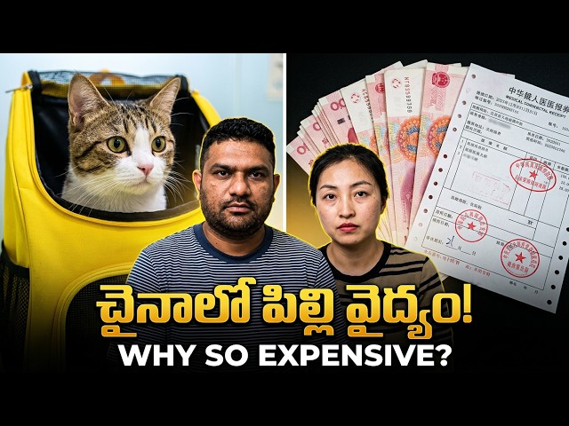Why People Spend Lakhs on Pets in China 🇨🇳 (Hospital Vlog) | Is Pet Healthcare in China a Scam?