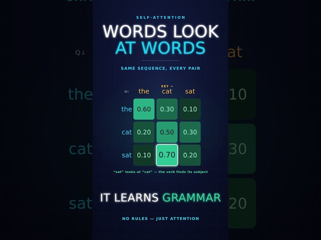 AI Learned Grammar With Zero Rules