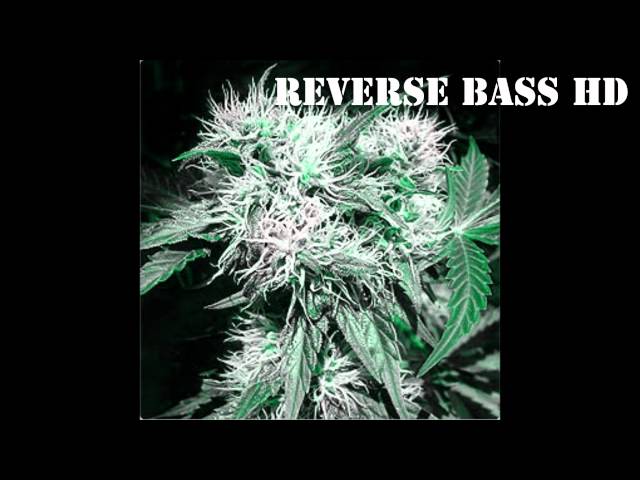 Reverse Bass Level 3
