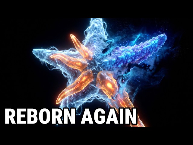 The Evolution of Self-Dissolution: Bodies That Destroy Themselves to Be Reborn