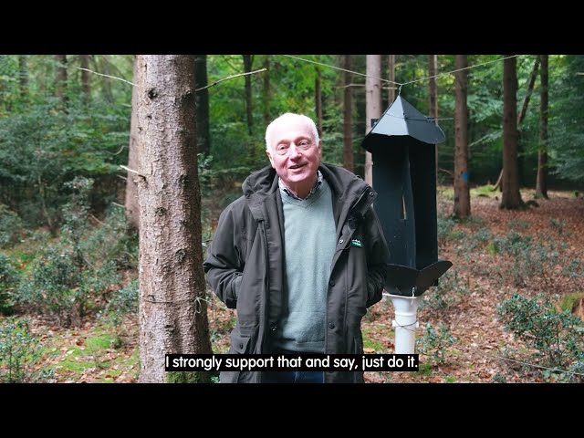 Protect Our Woodlands: Join the Ips typographus Monitoring Network