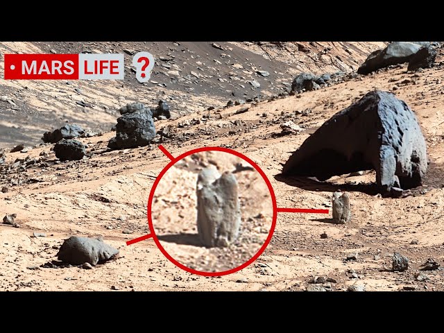 NASA Mars Rover Perseverance Sent Shocking 360° Footage of Mars Life! Curiosity' Rover Mars in 4K