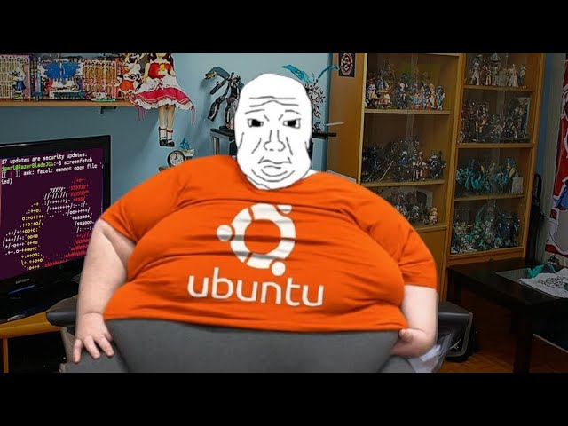 Why Ubuntu Sucks in 2025