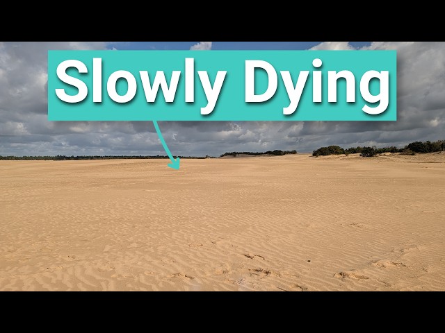 How the Netherlands Accidentally Created a Desert
