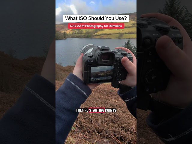 DAY 22 of Photography for Dummies