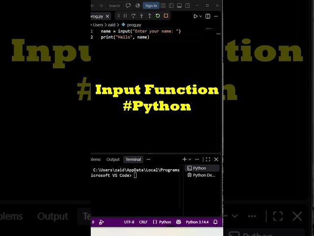 Python Mein Input Kaise Lete Hain? 🐍 | Python Input Function Explained #shorts