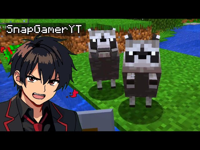 😱 ¡ME ROBARON EN MINECRAFT! Y FUE UN MAPACHE 🦝💀 | Java #2