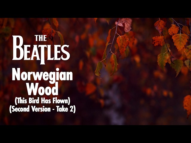 Norwegian Wood (This Bird Has Flown) (Second version - Take 2) (Visualiser)