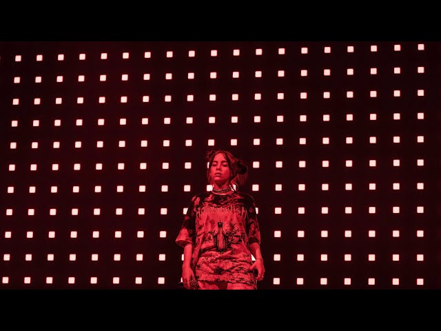 Billie Eilish Body Shaming