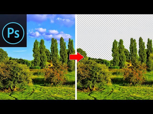 4 Best Ways to Cut Out Photos or Images in Photoshop