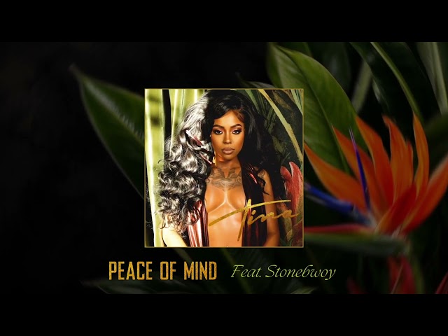 Peace of Mind by Tina Hoodcelebrityy ft Stonebwoy