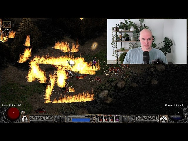 You Asked Me to Play Project Diablo 2