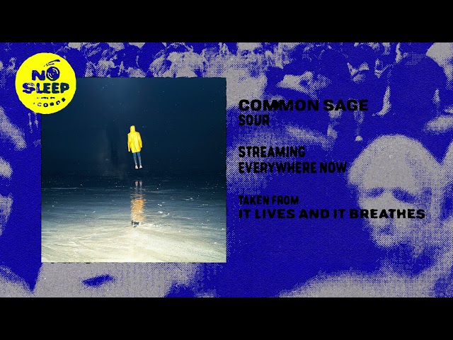 common sage - sour