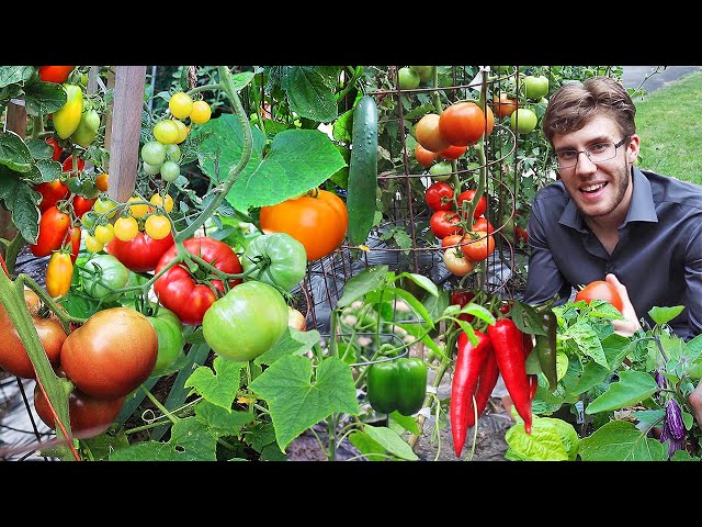 Garden Harvest Compilation 4