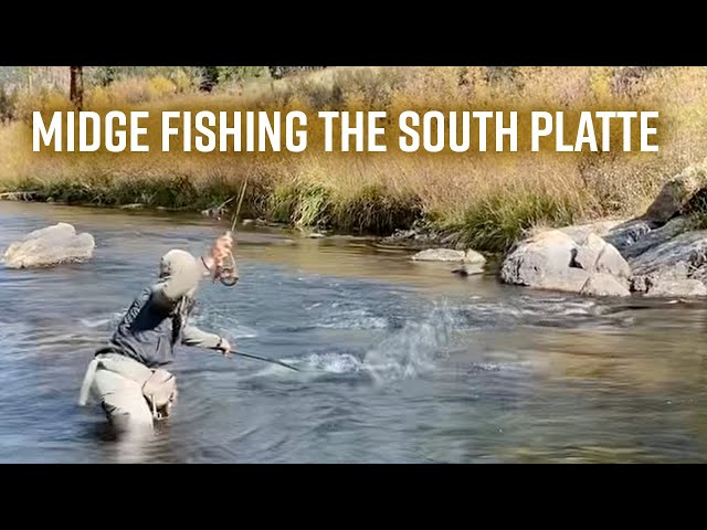 Landon Mayer Midge Fishing on the South Platte in Colorado