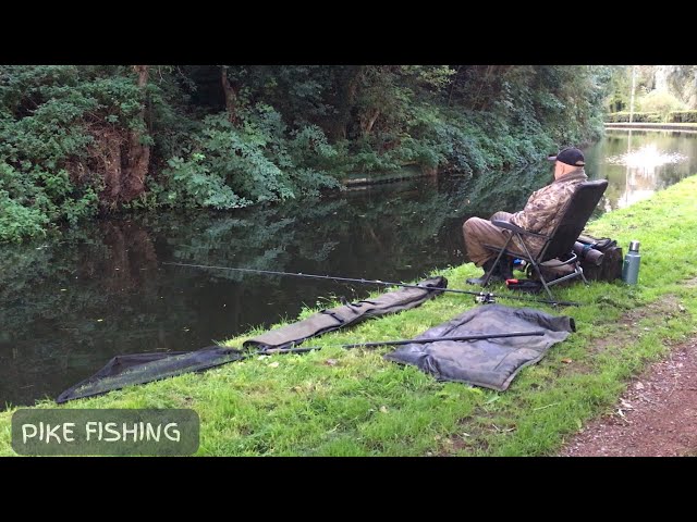 🎣 Angling || Pike fishing on the Staffordshire & Worcestershire Canal