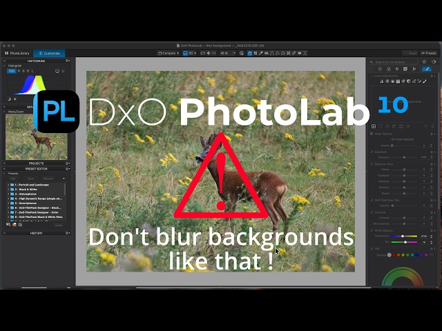 DxO PhotoLab 10: WARNING! Stop Blurring Backgrounds Like This!