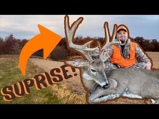 Hunting BIG Missouri Whitetails! *SHOTS FIRED!!* (Midwest RUT Hunting) BIG BUCK ALERT!