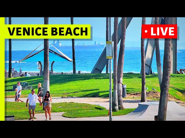 🔴 Los Angeles Live Cam · Venice Beach · Venice V Hotel · Live Camera Stream