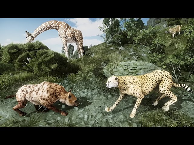 Ultimate Cheetah Simulator (By Yamtar Simulator Games) - Full Gameplay [4K 60FPS Max Settings]