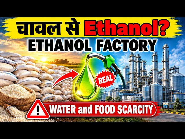 Ethanol from Rice: Is a Water and Food Crisis Looming? #ethanol #factoryprocess