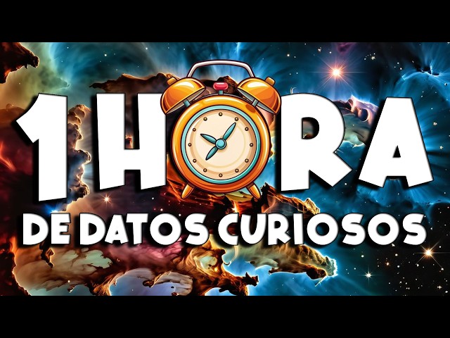 ¡ 1 HORA sin pausas de DATOS CURIOSOS y COSAS QUE NO SABÍAS ! ⏰😲1281