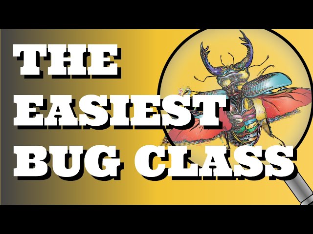 Bug Hunting is easy if you KNOW this