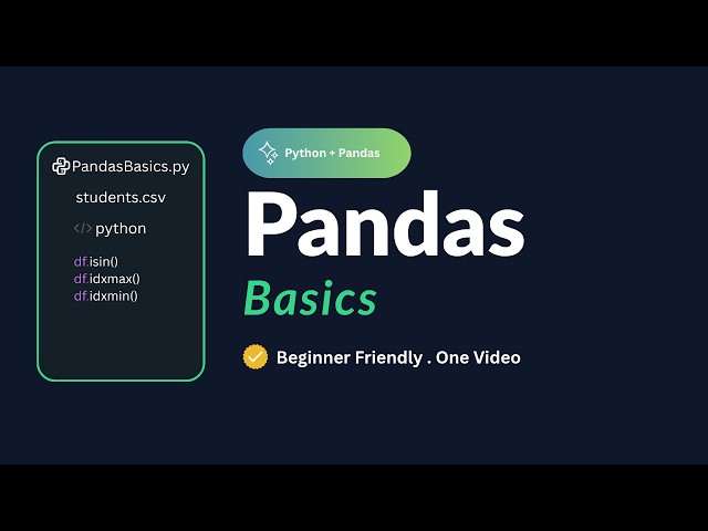 Pandas Data Filtering & Analysis Project for Beginners | Python Pandas Tutorial