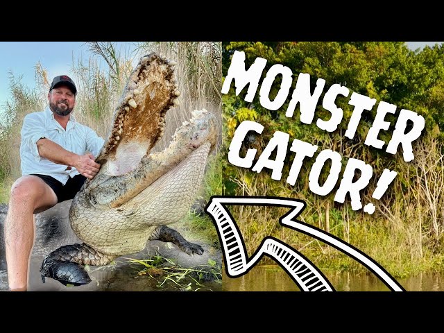 MONSTER PUBLIC LAND ALLIGATOR! (Swimming In Gator Infested Water)