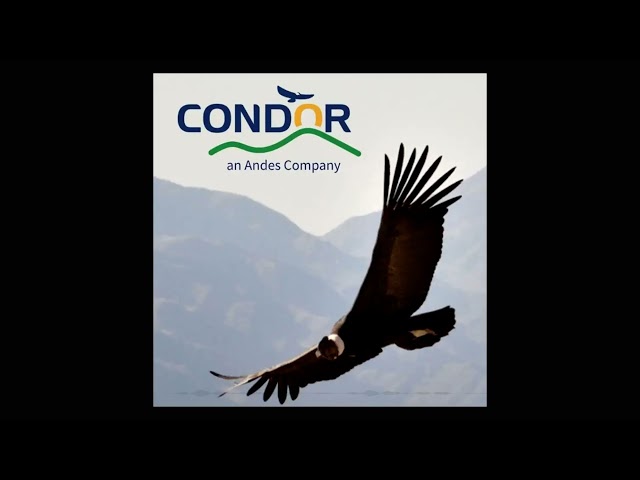 RISC-V and machine learning: a survey | Condor Currents