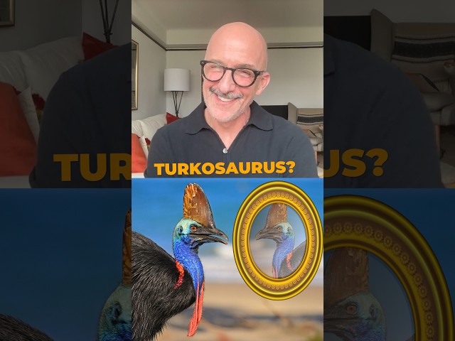Jim Rash asks: cassowary bird or three turkeys in a trench coat? 👀 #birds #naturepbs #animals #learn