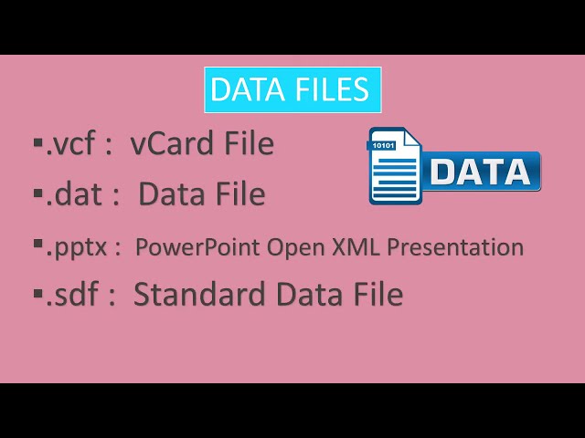 Name of File Format Extensions in Computer | File Format Extensions in Computer explained