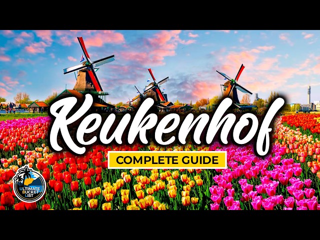 🌹 Keukenhof Tulip Festival Complete Travel Guide - Know before you go! (Amsterdam) 🌹