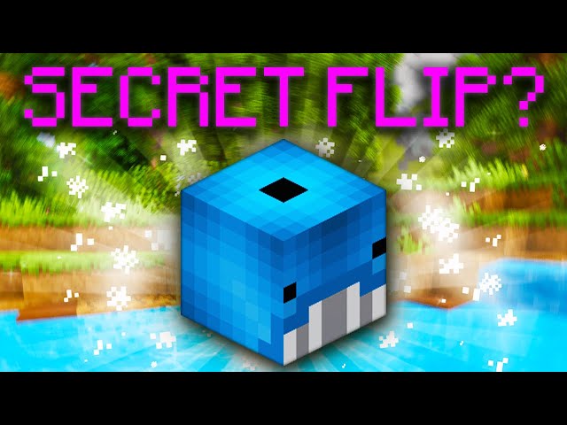 NEW Money Making Method 10 Million Coins Per Flip! (Hypixel Skyblock)
