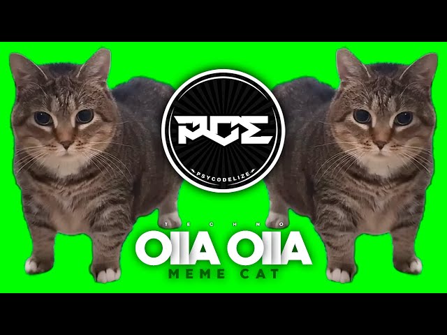TECHNO ● OIIA OIIA CAT MEME (Fernando Caneo & Vesk Green Remix)