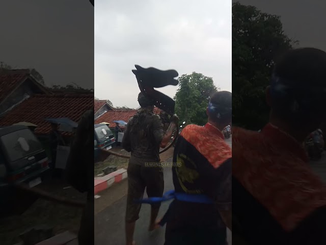 AWAS ADA KUDA LUMPING NGAMUK!!!