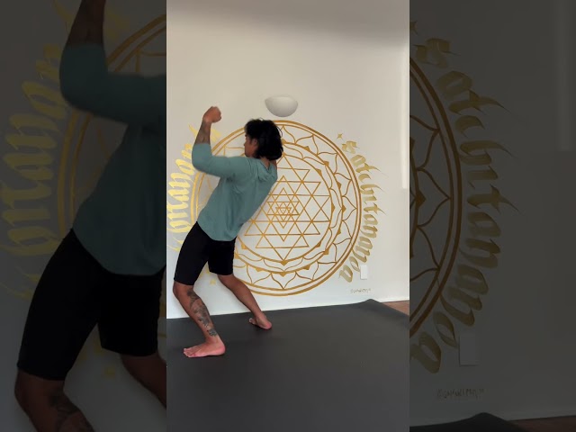 The PRO Squared is a Place to Play 🤸♂️