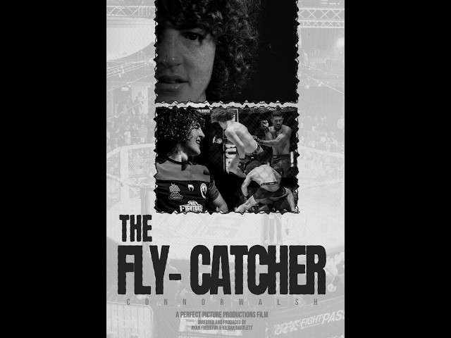 The Fly Catcher