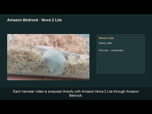 Pet Activity Report | Ring + Amazon Nova 2 Lite | Hackathon Demo