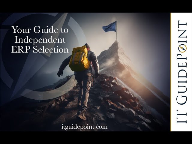IT GuidePoint Corporation ERP Rescue Video
