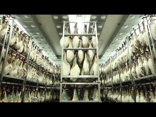 Secaderos de MontePorrino. La estabilización de jamones y paletas