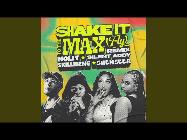 SHAKE IT TO THE MAX (FLY) [REMIX]