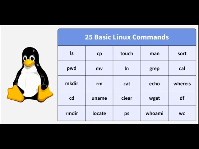 25 Basic Linux Commands