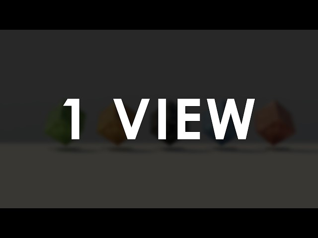 1 View Is More Than Enough