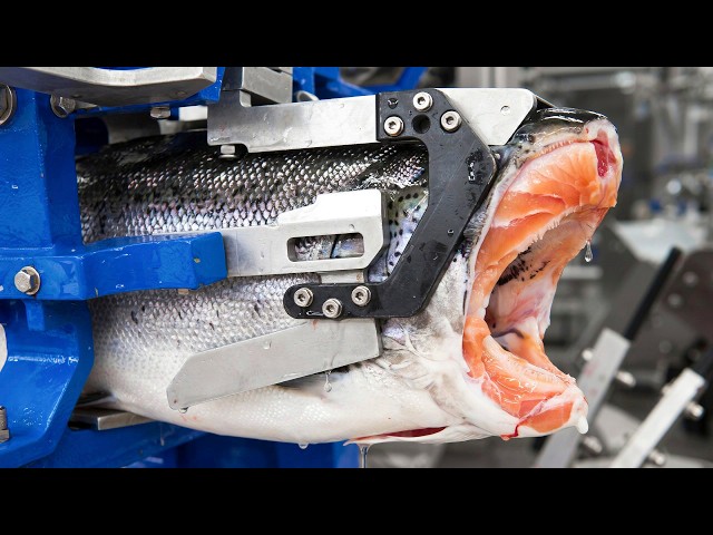 Most Satisfying Machines in Modern Factories | Amazing Technology in Action