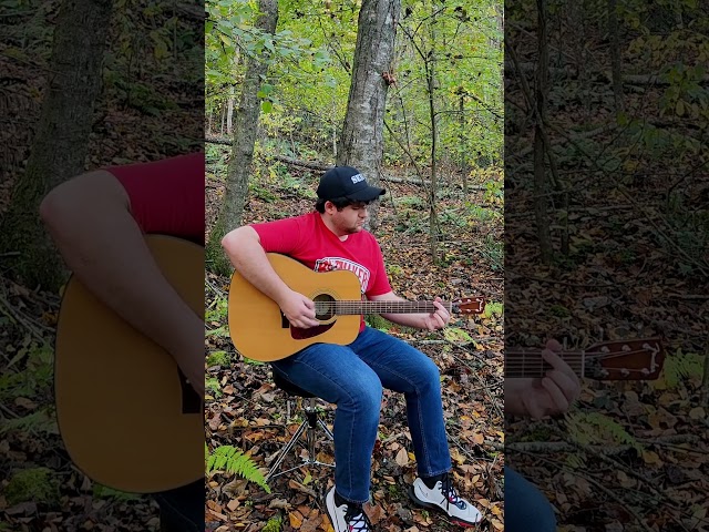 🍁REVERIE🍁 Chill lil Midwest Emo riffage for the birds 🐦 #guitar #midwestemo #mathrock